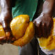 Palm oil, agriculture, food price