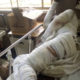 COVID-19 Patient Gbagada General Hospital Doctors