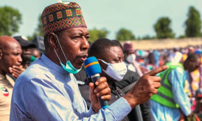 Zulum, babagana umara zulum family, borno state governor phone number, zulum news today, babagana umara zulum photos, babagana umara zulum wives, babagana umara zulum phone number, maiduguri borno state governors office address,