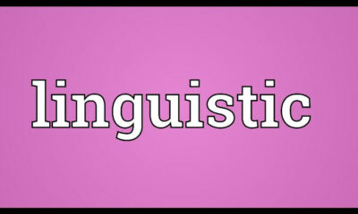 Nigerians, Linguistic