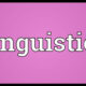 Nigerians, Linguistic