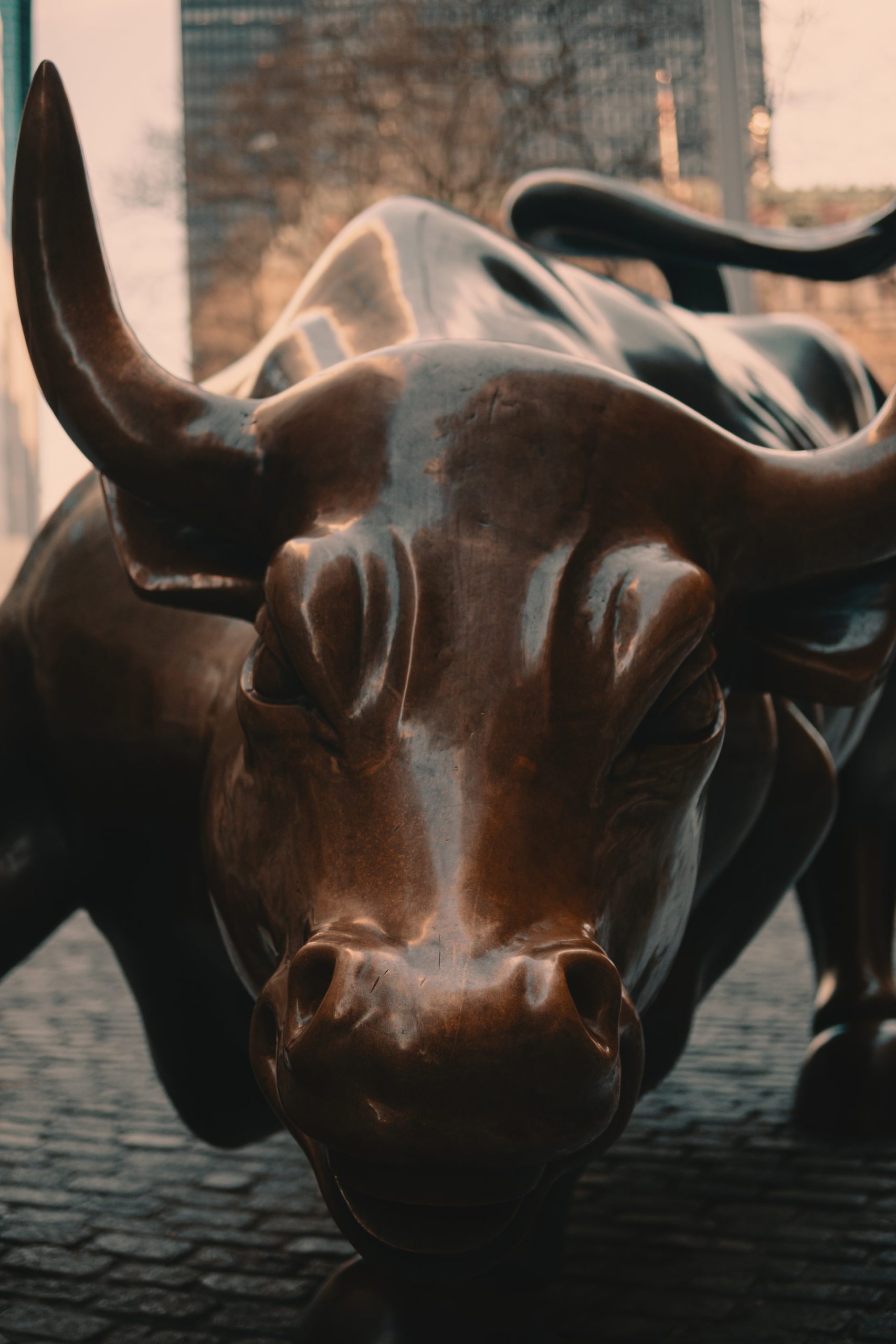 NGX, equities market, Bulls Maintained Dominance in Local Equities Market...Investors Gained N1.33tn Last Week Brandnewsday, NSE