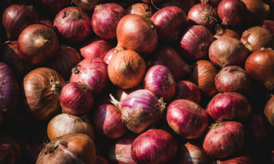 onions in nigeria, current price of onions in nigeria, preservation of onions in nigeria, types of onions in nigeria, onion market in nigeria, where to get onion seeds in nigeria, why is onions expensive in nigeria, onion seeds for sale in nigeria, onion business in nigeria