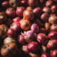 onions in nigeria, current price of onions in nigeria, preservation of onions in nigeria, types of onions in nigeria, onion market in nigeria, where to get onion seeds in nigeria, why is onions expensive in nigeria, onion seeds for sale in nigeria, onion business in nigeria