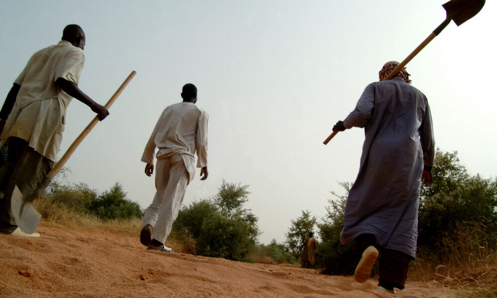 IFAD and GCF scale-up action to improve life for millions of people and restore ecosystems in Africa’s Great Green Wall brandnewsday