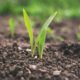 Agriculture sector in 2021 Still a growth story Brandnewsday, Boehringer Ingelheim, Invest India