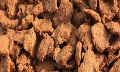 Kuli-Kuli To The World How Can We Make Nigerian Indigenous Snacks More Accessible Brandnewsday