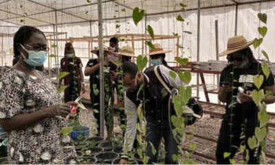 Naija Farmer Reality TV Show