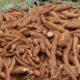 http://brandnewsday.com, cassava benefits, cassava leaves, cassava flour, cassava recipes, cassava poison, importance of cassava to man, cassava pronunciation, cassava plant, cassava production in nigeria 2019, cassava production in nigeria 2020, cassava production in nigeria 2021, cassava production in nigeria pdf,  cassava production in nigeria 2018, price of cassava per ton in nigeria 2020, challenges of cassava production in nigeria, cassava yield per hectare in nigeria, cassava production pdf