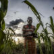 FAO aims to provide livelihood assistance to nearly 49 million people in 2021 Brandnewsday
