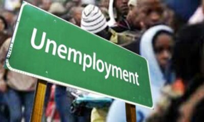 employee training, Unemployment brandnewsday 23 Million Unemployed Nigerians E-Commerce To The Rescue