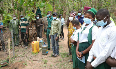 IITA partners with Nigerian Breweries for Olokemeji Reforestation
