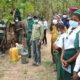 IITA partners with Nigerian Breweries for Olokemeji Reforestation