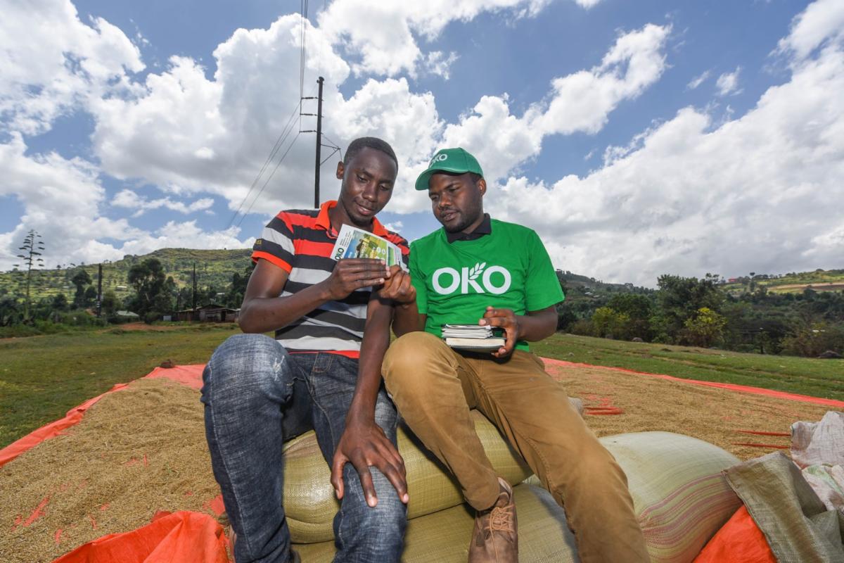 Insurtech Start-Up OKO Raises $1.2 Million To Bring Innovative Insurance To Smallholder Farmers Across Africa Brandnewsday2