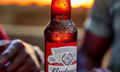 International Breweries' FX-linked Losses Overshadow Cost Savings Brandnewsday