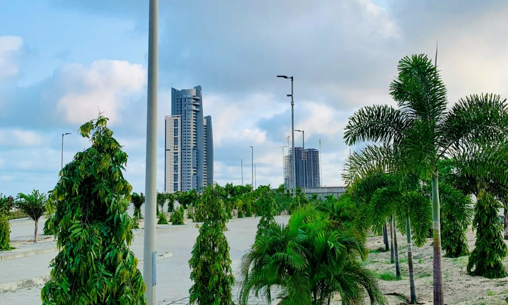 Trees-in-Eko-Atlantic-City Brandnewsday Eko Atlantic's Green City Commitment On a mission to plant over 200,000 trees