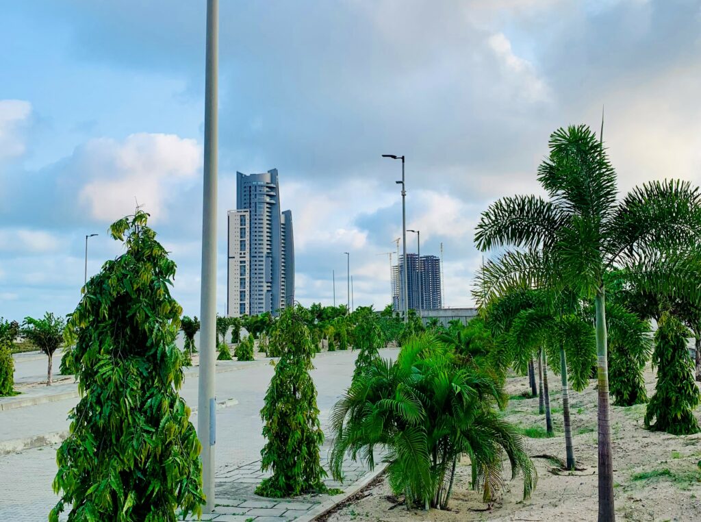 Trees-in-Eko-Atlantic-City Brandnewsday Eko Atlantic's Green City Commitment On a mission to plant over 200,000 trees