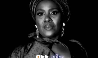 Watch The Trailer For Accelerate’s New Show ‘The Olive’ Brandnewsday