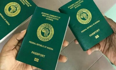 International Passport Backlogs, nigeria passport renewal, nigerian passport fee, nigeria passport appointment, nigerian passport requirements, nigeria passport number, types of international passport in nigeria, how to renew nigeria passport in Canada, nigerian passport application status, Nigeria Immigration Service, Passport Backlogs