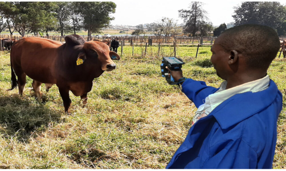 E-Livestock
