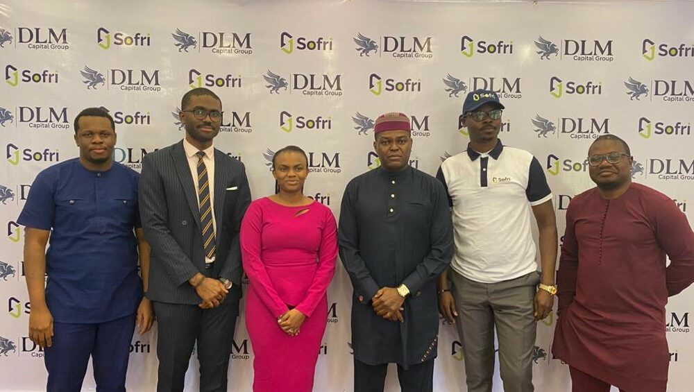 DLM Capital