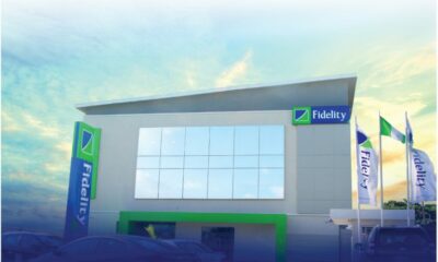 Nneka Onyeali-Ikpe, Fidelity BAnk