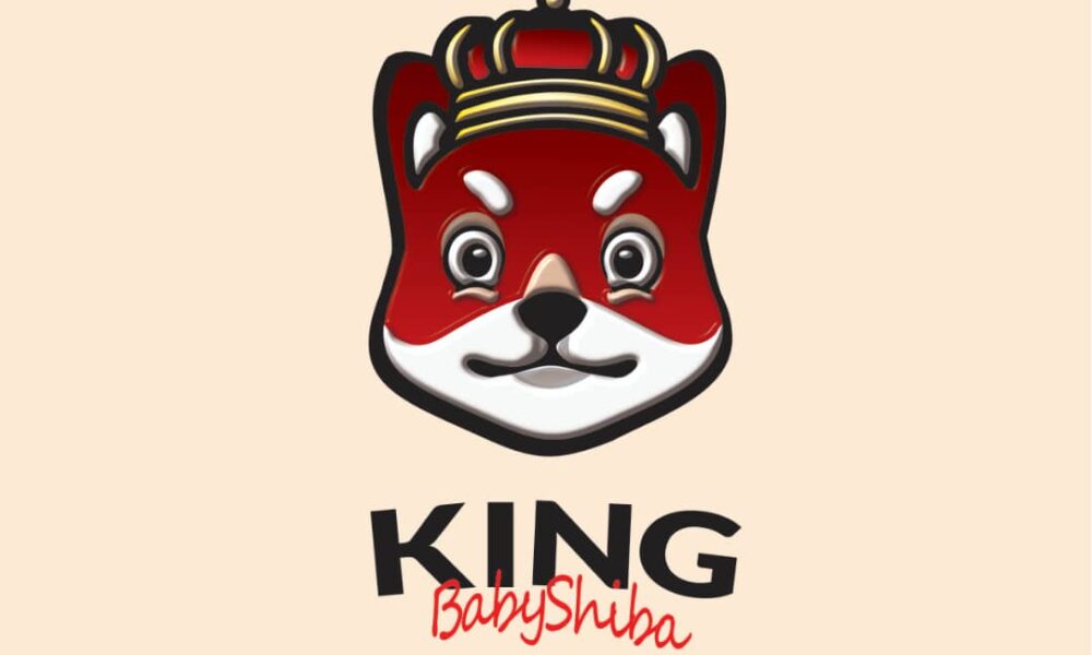 kingbabyshiba