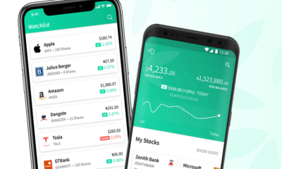 ecoplanet bamboo stock price, bamboo stocks to invest in, investing in bamboo stock, invest bamboo nairaland, bamboo nigeria, is bamboo investment legit, bamboo money, bamboo investment app