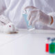Europe’s Animal Testing Ban