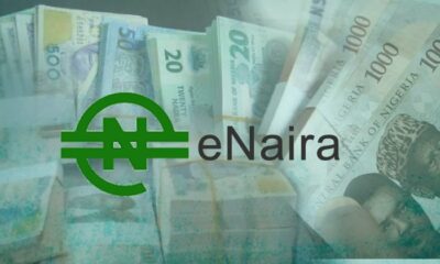 e-Naira coin, e-Naira Nigeria, e-Naira wallet,e-Naira meaning, e-Naira currency, e-Naira, e-Naira digital currency, e-Naira CBN and e-Naira launch, enaira app, enaira app download, enaira crypto, enaira website, enaira apk, enaira platform website, enaira cbn, enaira launch, cbdc, central bank digital currency,