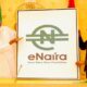 eNaira Digital Currency