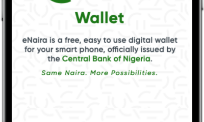 eNaira Made N46.3 Million Worth Of Transactions Within 2 Weeks – CBN
