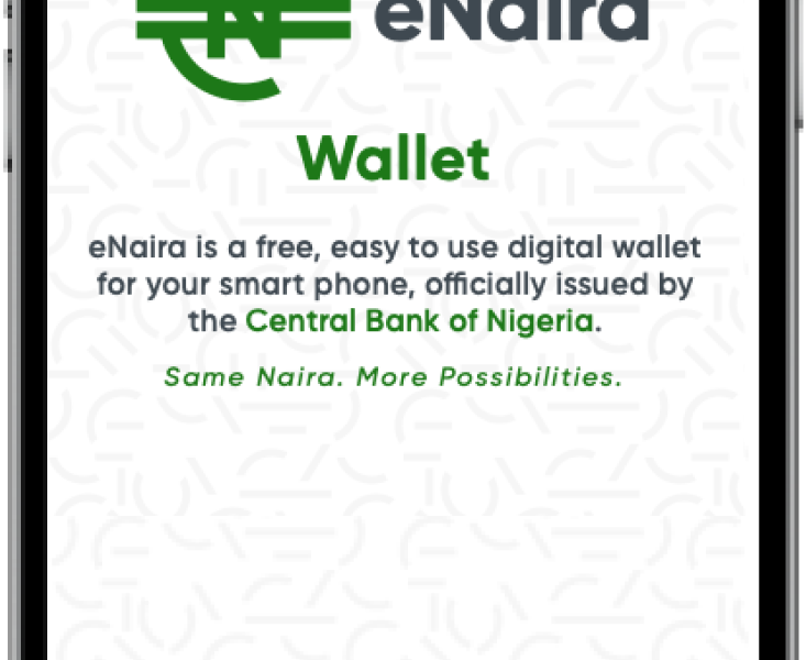 eNaira Made N46.3 Million Worth Of Transactions Within 2 Weeks – CBN
