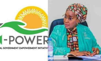 Npower News, npower stipend news today 2021, npower stipend news today 2022, npower october stipend news today, npower news, npower payment date, npower portal, nasims NPower November Stipend, npower stipend news today 2021, npower stipend news today 2022, npower october stipend news today, npower news, npower payment date, npower portal, nasims, N-Power, npower registration portal, npower news, n-power login, n-power details, npower teach, duties of n-power, benefits of n-power programme, en power, NPower News On Stipends