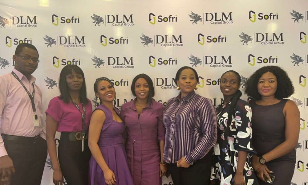 DLM Capital Group, dlm capital group salary, dlm capital group nairaland, dlm capital group logo, sonnie ayere net worth, dlm microfinance bank, greenwich group, dml capital group