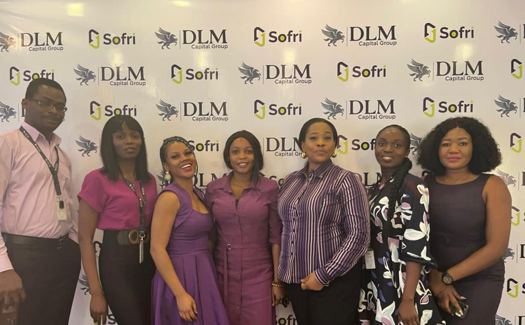 DLM Capital Group, dlm capital group salary, dlm capital group nairaland, dlm capital group logo, sonnie ayere net worth, dlm microfinance bank, greenwich group, dml capital group