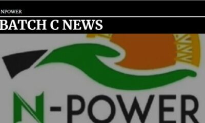 Npower News, npower stipend news today 2021, npower stipend news today 2022, npower october stipend news today, npower news, npower payment date, npower portal, nasims NPower November Stipend, npower stipend news today 2021, npower stipend news today 2022, npower october stipend news today, npower news, npower payment date, npower portal, nasims, N-Power, npower registration portal, npower news, n-power login, n-power details, npower teach, duties of n-power, benefits of n-power programme, en power, NPower News On Stipends