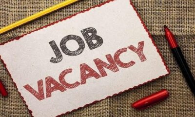 Jobs In Nigeria 2022, Vacancies In Nigeria Today, jobs in nigeria for foreigners, latest jobs in nigeria, ngo jobs in nigeria, jobs in lagos, jobs in abuja, job vacancies in nigeria 2020, current job vacancies, 2021 job opportunities, Job Vacancies In Nigeria