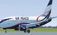 Bird Strike Attack Air Peace Flight At Abuja Airport