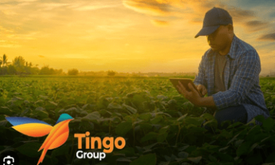 Tingo Group Inc, How Tingo Confidently Scams Nigeria With Backing Of Some Powerful Elites (Part 1)