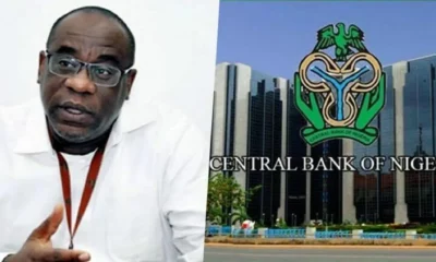 Folashodun Shonubi, Acting CBN Governor