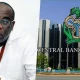 Folashodun Shonubi, Acting CBN Governor
