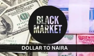 Dollar To Naira Black Market, Black Market Dollar To Naira (NGN) Exchange Rate Today 24th June 2024, Dollar To Naira Black Market Rate Today 27 September 2023