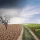 Climate-Change