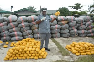 Nigeria Customs Service