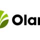 Olam Nigeria, Olam forex fraud
