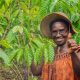 AFAN Seeks Nigerian Government’s Support To Enhance Food Security