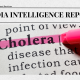 In June 2024, Nigeria faced a major cholera outbreak, with the Nigeria Centre for Disease Control and Prevention (NCDC) reporting 1,539 suspected cases and 54 deaths across 17 states. The outbreak significantly impacted various regions, underscoring severe public health challenges and the urgent need for targeted interventions to curb the disease's spread.