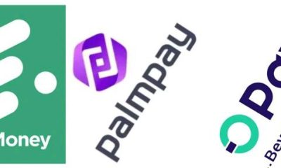 Court Orders Freezing On Opay, PalmPay, Nigerian Nigerian fintechs Accounts Over N139.6M Transfer