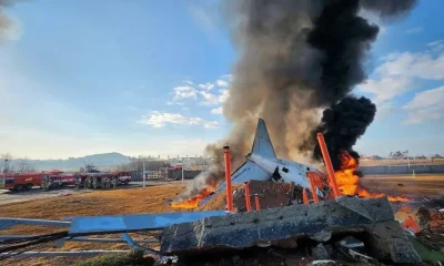 Jeju Air Plane Crash